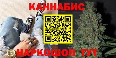 молекула духа Партизанск