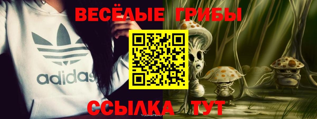 Псилоцибиновые грибы ЛСД  Вход с VPN  Прокопьевск 